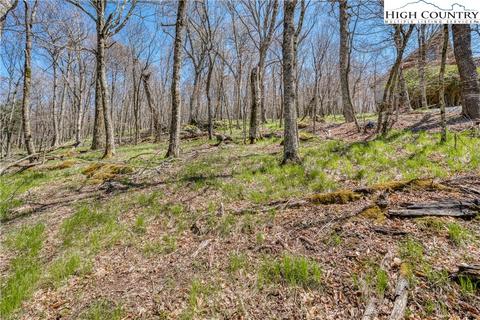 1050 Charter Hills Rd, Beech Mountain, NC 28604 photo 8