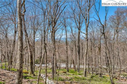 1050 Charter Hills Rd, Beech Mountain, NC 28604 photo 7