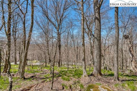 1050 Charter Hills Rd, Beech Mountain, NC 28604 photo 6