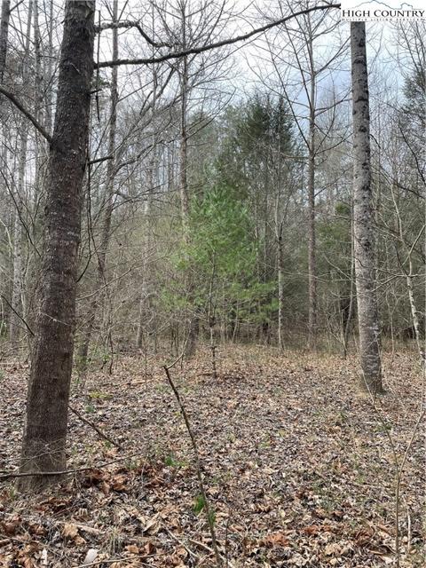 13216 Boone Trl, Purlear, NC 28665 photo 10