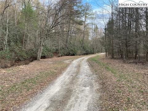 13216 Boone Trl, Purlear, NC 28665 photo 4