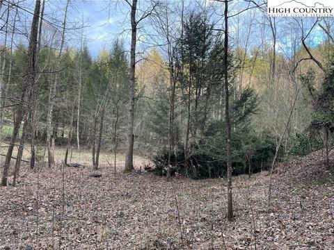 13216 Boone Trl, Purlear, NC 28665 photo 14