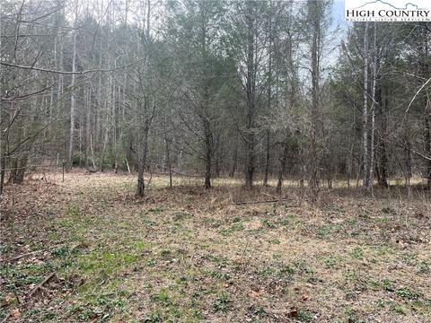 13216 Boone Trl, Purlear, NC 28665 photo 13