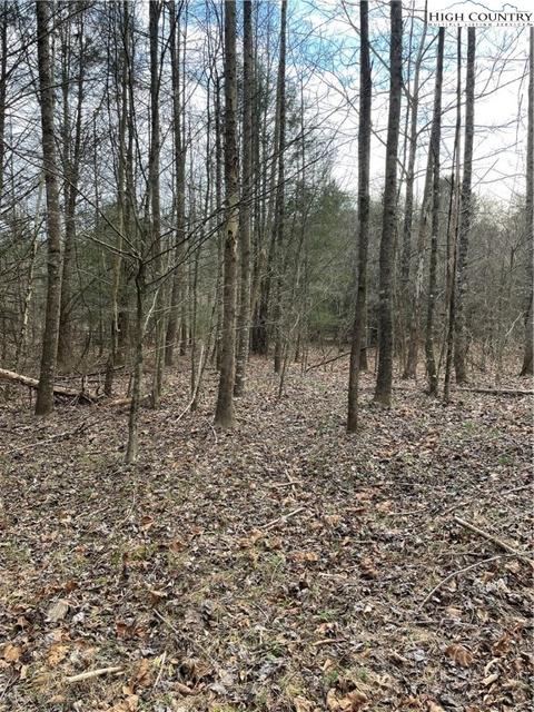 13216 Boone Trl, Purlear, NC 28665 photo 9