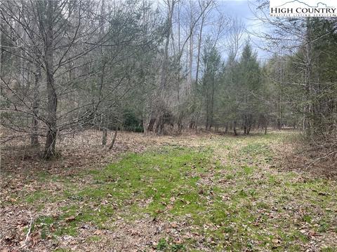 13216 Boone Trl, Purlear, NC 28665 photo 12