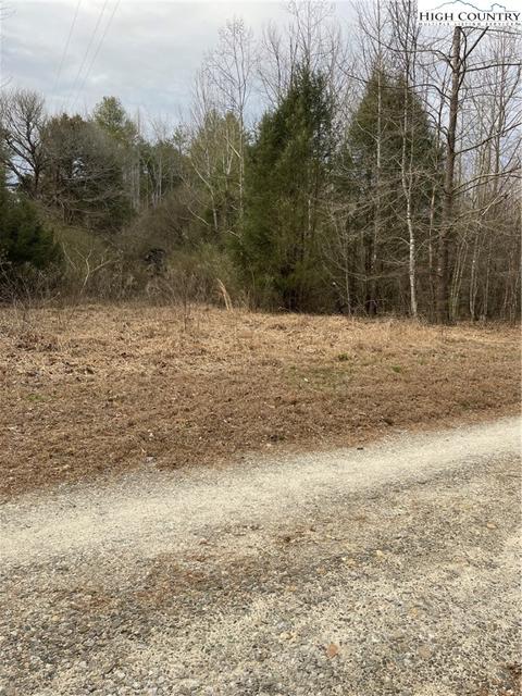 13216 Boone Trl, Purlear, NC 28665 photo 5