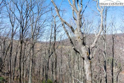 203 Monarch Dr, Todd, NC 28684 photo 19