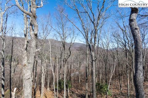 203 Monarch Dr, Todd, NC 28684 photo 18