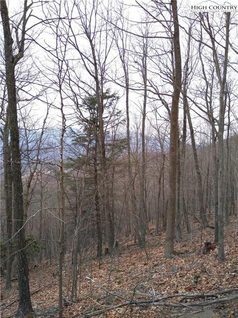 tbd Lot Apt 251 Thomas Dr Abbie Trail Dr, West Jefferson, NC 28694