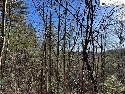 lot85 Woodpecker Rd, Purlear, NC 28665 photo 3