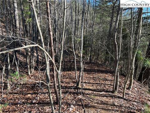 lot85 Woodpecker Rd, Purlear, NC 28665 photo 5