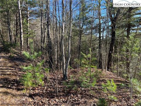 lot85 Woodpecker Rd, Purlear, NC 28665 photo 6