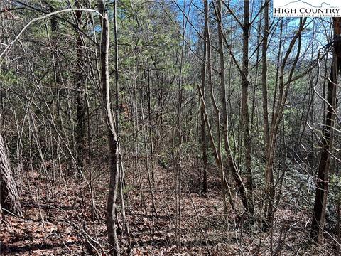 lot85 Woodpecker Rd, Purlear, NC 28665 photo 4