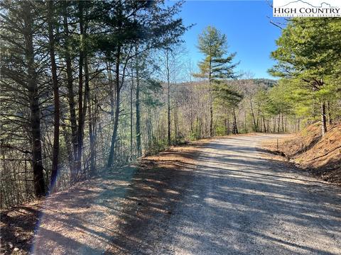 lot85 Woodpecker Rd, Purlear, NC 28665 photo 7