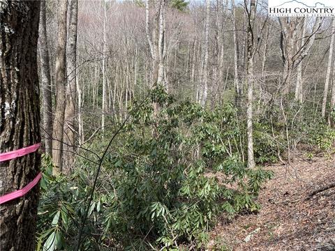 TBD Pine Mountain Road, Creston, NC 28615