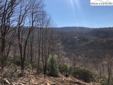 427 Pinnacle Ridge Rd, Beech Mountain, NC 28604