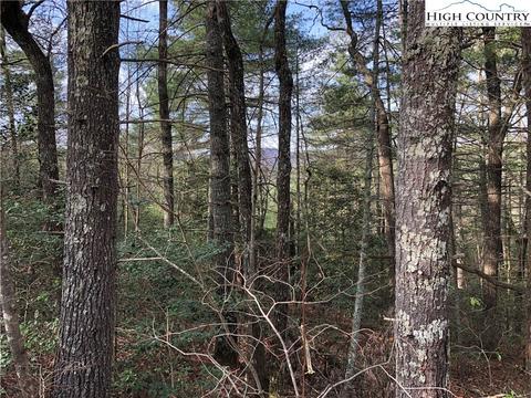 63 Deer Run, Purlear, NC 28665 photo 5