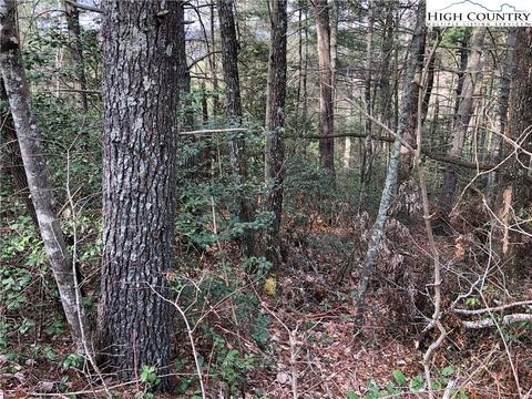 63 Deer Run, Purlear, NC 28665 photo 7