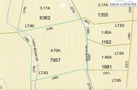 63 Deer Run, Purlear, NC 28665 photo 4