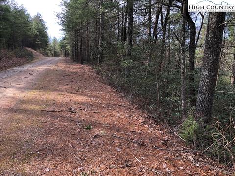 63 Deer Run, Purlear, NC 28665 photo 6