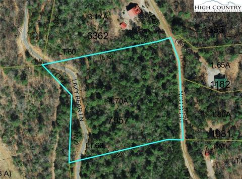 63 Deer Run, Purlear, NC 28665 photo 3