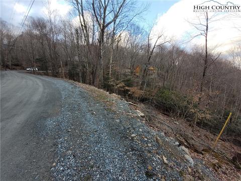 118 Chestnut Way, Beech Mountain, NC 28604 photo 6