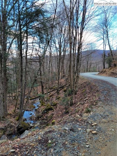 118 Chestnut Way, Beech Mountain, NC 28604 photo 4