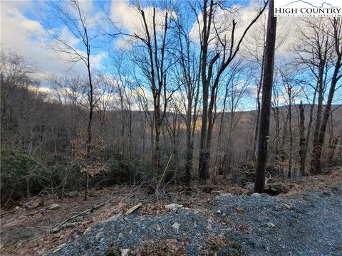 118 Chestnut Way, Beech Mountain, NC 28604
