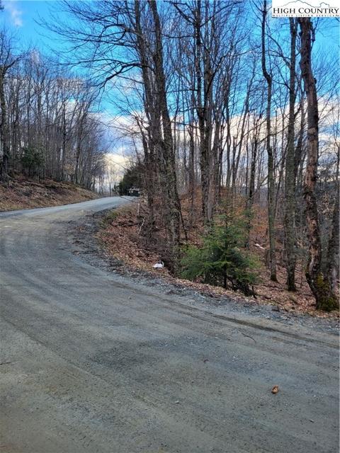 118 Chestnut Way, Beech Mountain, NC 28604 photo 2
