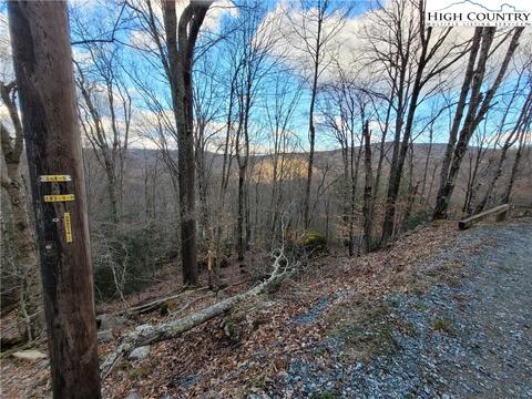 118 Chestnut Way, Beech Mountain, NC 28604 photo 5