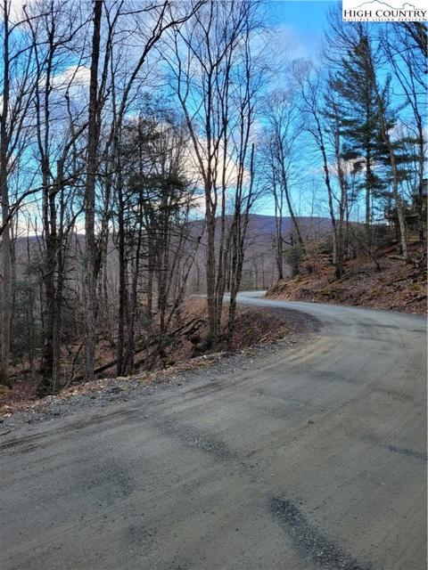 118 Chestnut Way, Beech Mountain, NC 28604 photo 3