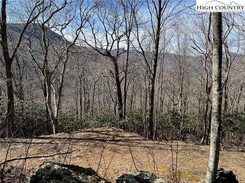 tbd Chestnut Farms Rd, West Jefferson, NC 28694