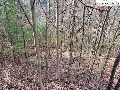 128 Bryce Way, Boone, NC 28607 photo 4