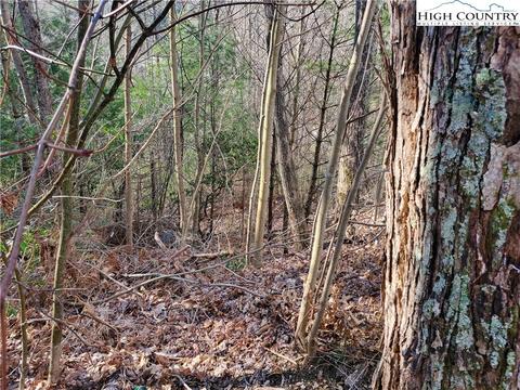 128 Bryce Way, Boone, NC 28607 photo 3