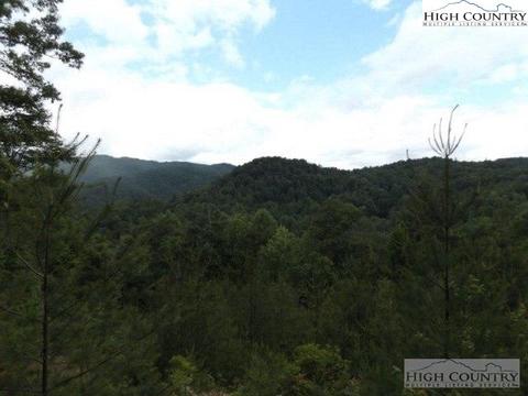 7 Wagon Ridge Rd, Ferguson, NC 28624