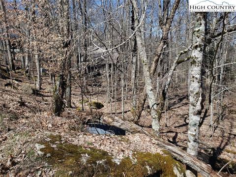 138 Pond Creek Road, Beech Mountain, NC 28604