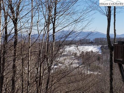149 W Blueberry Ln, Beech Mountain, NC 28604