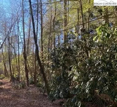 0 Balm Hwy, Banner Elk, NC 28604
