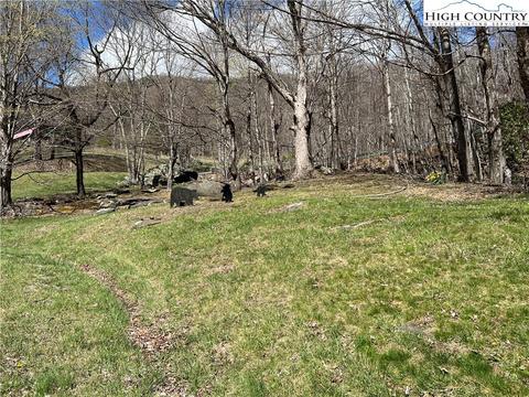 TBD Seven Devils Road, Seven Devils, NC 28607 photo 6
