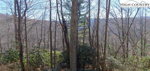 151 Rhododendron Dr, Beech Mountain, NC 28604 photo 2