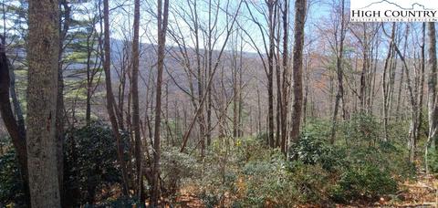 151 Rhododendron Dr, Beech Mountain, NC 28604