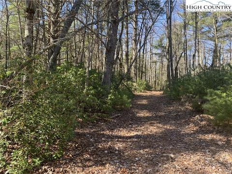 TBD Mountain Cross Lane, Glade Valley, NC 28627
