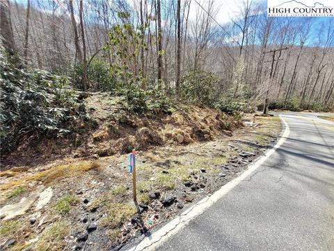 tbd Pinnacle Ridge And Buckeye Ridge Rds, Beech Mountain, NC 28604 photo 3
