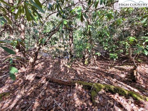 tbd Pinnacle Ridge And Buckeye Ridge Rds, Beech Mountain, NC 28604 photo 10