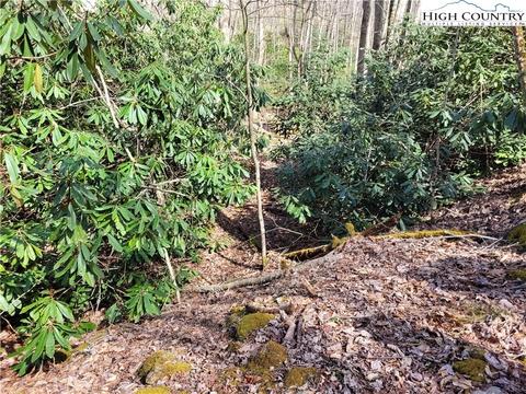 tbd Pinnacle Ridge And Buckeye Ridge Rds, Beech Mountain, NC 28604 photo 8