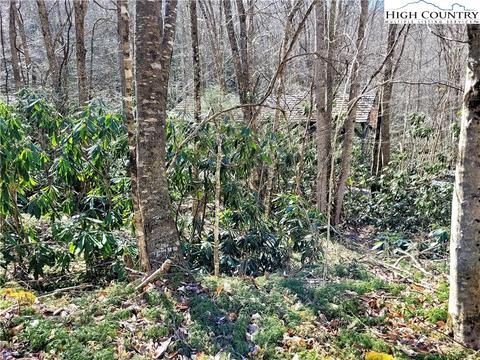 tbd Pinnacle Ridge And Buckeye Ridge Rds, Beech Mountain, NC 28604 photo 18
