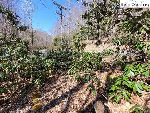 tbd Pinnacle Ridge And Buckeye Ridge Rds, Beech Mountain, NC 28604 photo 15