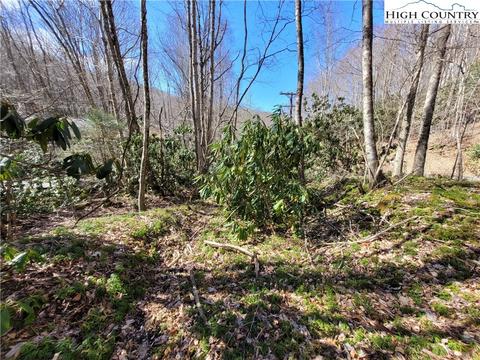 tbd Pinnacle Ridge And Buckeye Ridge Rds, Beech Mountain, NC 28604 photo 17