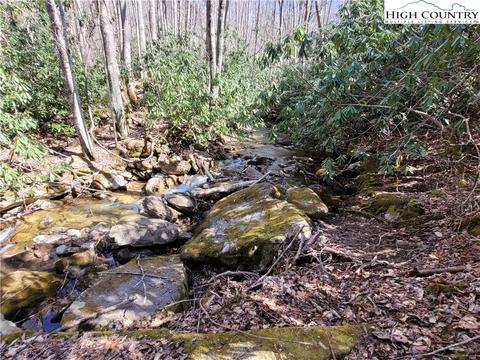 tbd Pinnacle Ridge And Buckeye Ridge Rds, Beech Mountain, NC 28604 photo 12