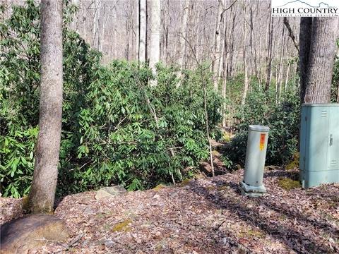 tbd Pinnacle Ridge And Buckeye Ridge Rds, Beech Mountain, NC 28604 photo 7